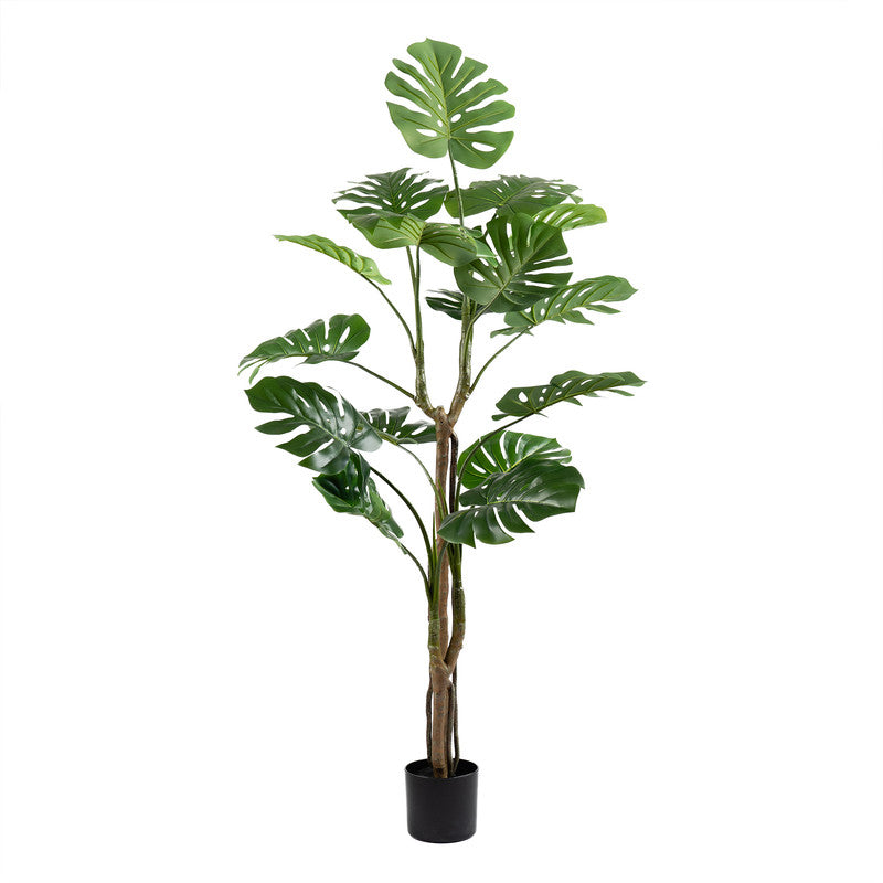 160cm Real Touch Monstera Tree